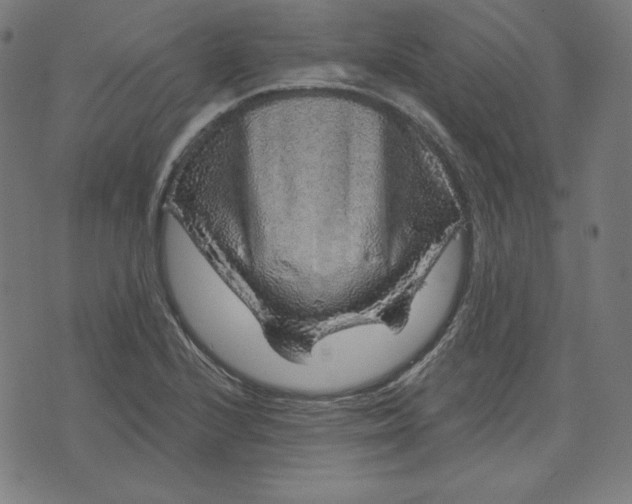 X0000072541224200607281615