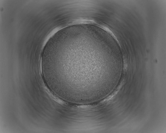 X0000072541227200607281615