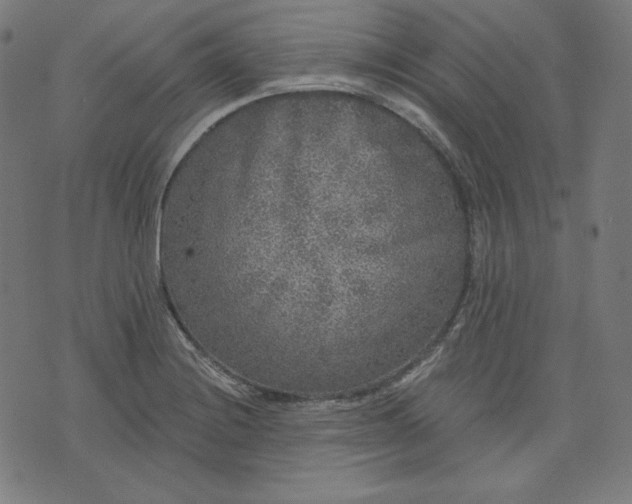 X0000072541228200607281615
