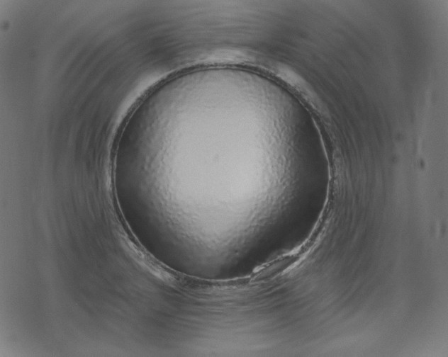 X0000072541232200607281616