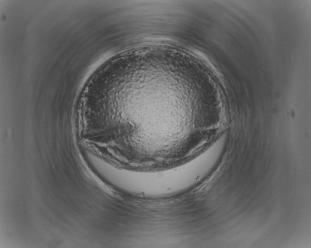 X0000072541235200607281616