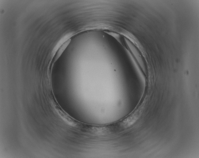 X0000072541242200607281616