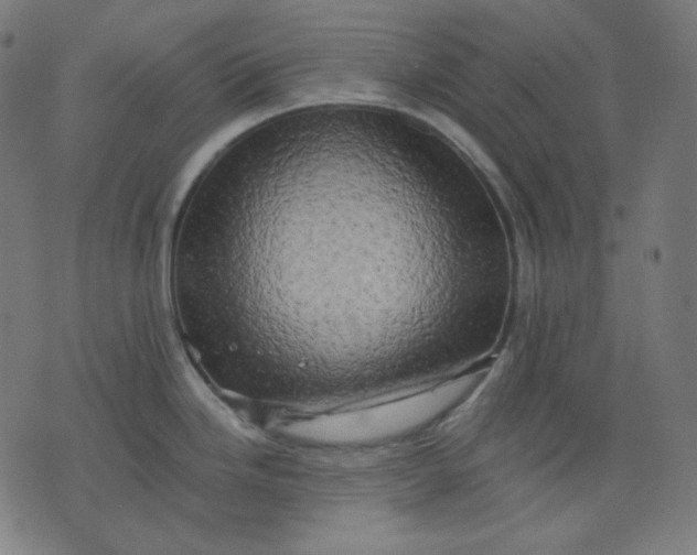 X0000072541246200607281616