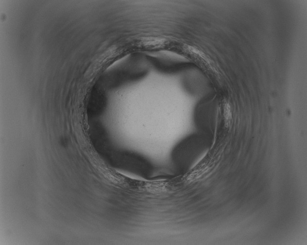 X0000072541249200607281615