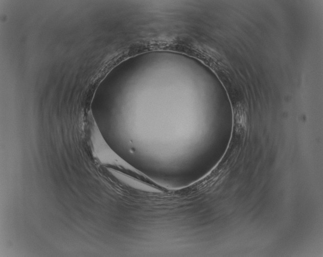 X0000072541252200607281615