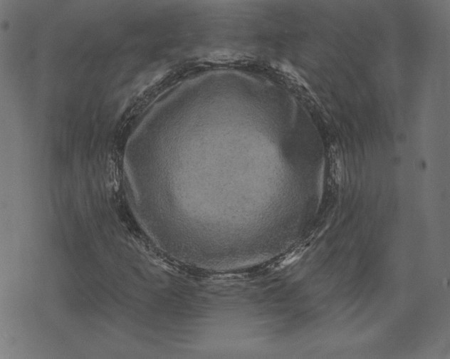 X0000072541253200607281615