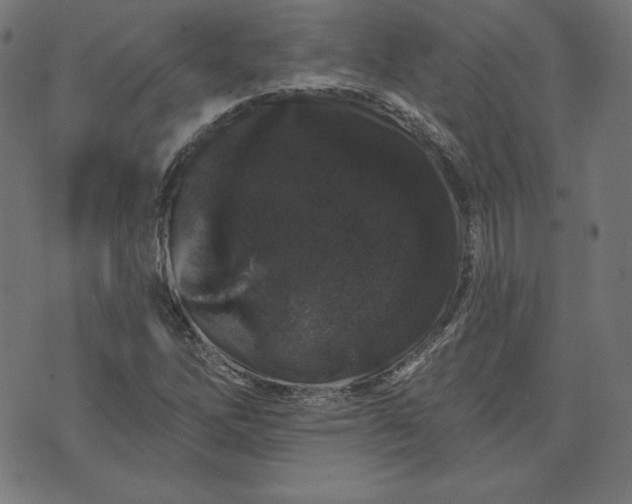 X0000072541262200607281615