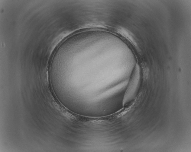X0000072541268200607281615