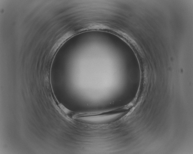 X0000072541281200607281614