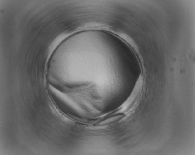 X0000072541296200607281614