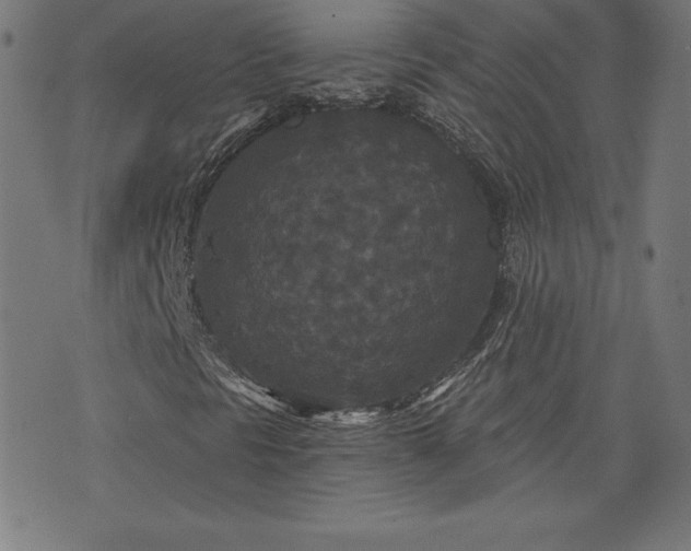 X0000072541297200607281613