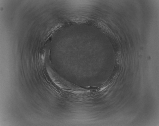X0000072541298200607281613