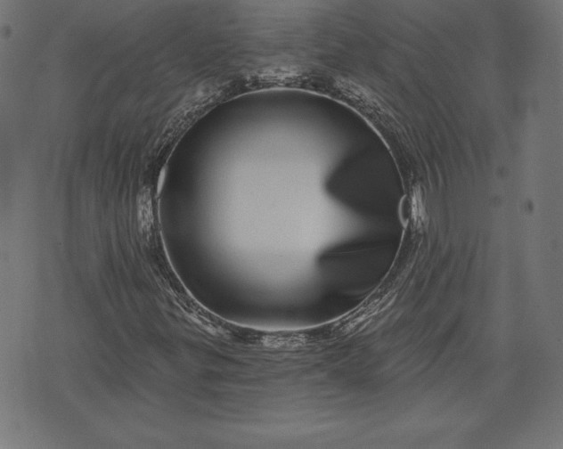 X0000072541299200607281614