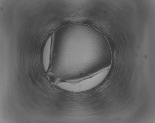X0000072541300200607281614