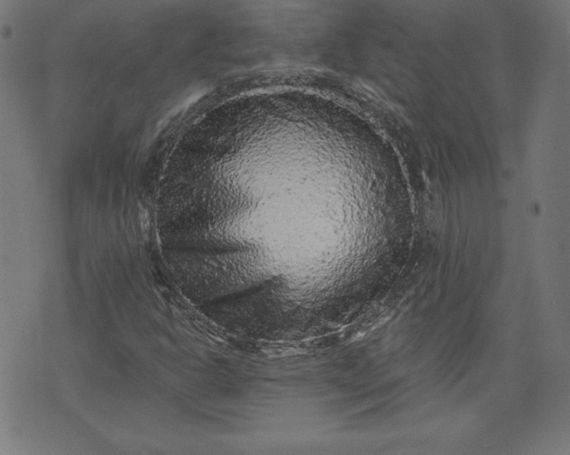 X0000072541302200607281614