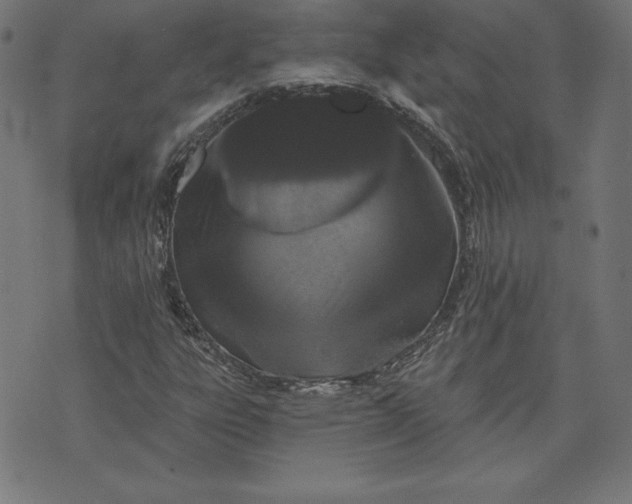 X0000072541303200607281614