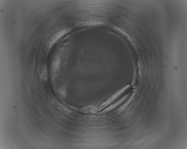 X0000072541306200607281614