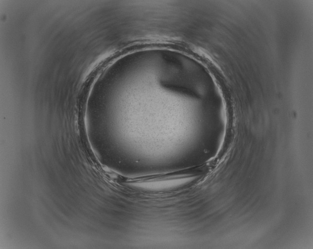 X0000072541307200607281614