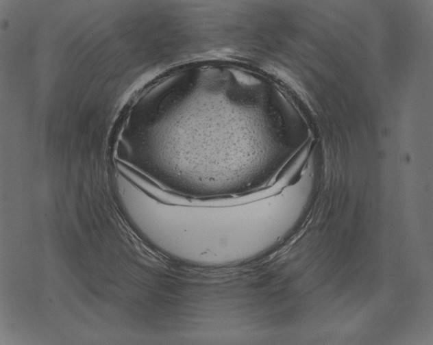 X0000072541308200607281614