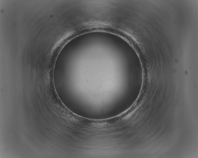 X0000072541309200607281614