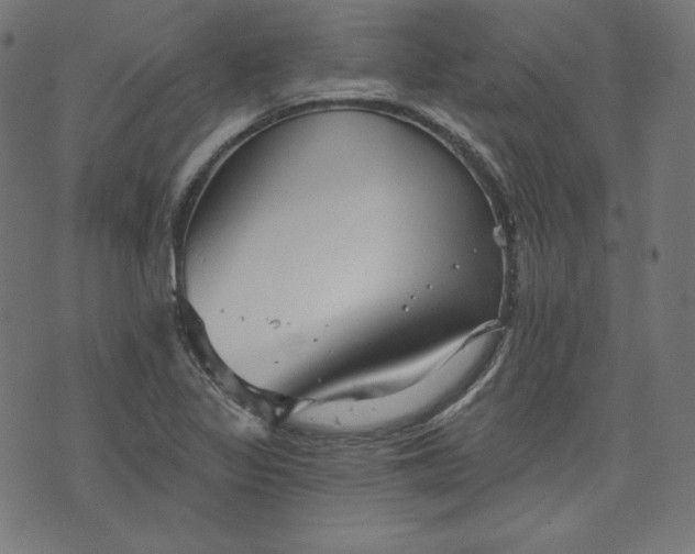 X0000072541317200607281614