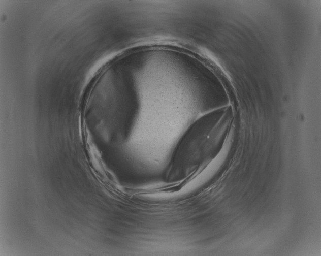 X0000072541320200607281614