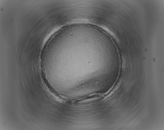 X0000072541325200607281614