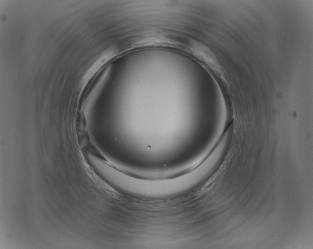 X0000072541330200607281614
