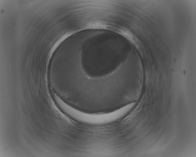 X0000072541331200607281614