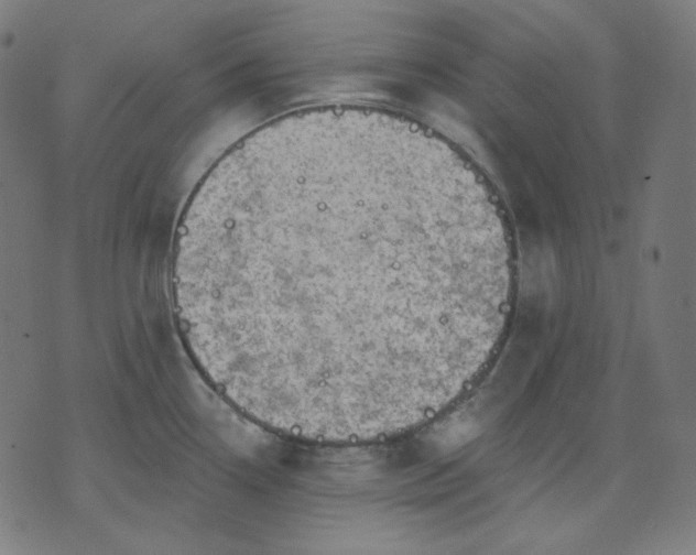 X0000072541338200607281614
