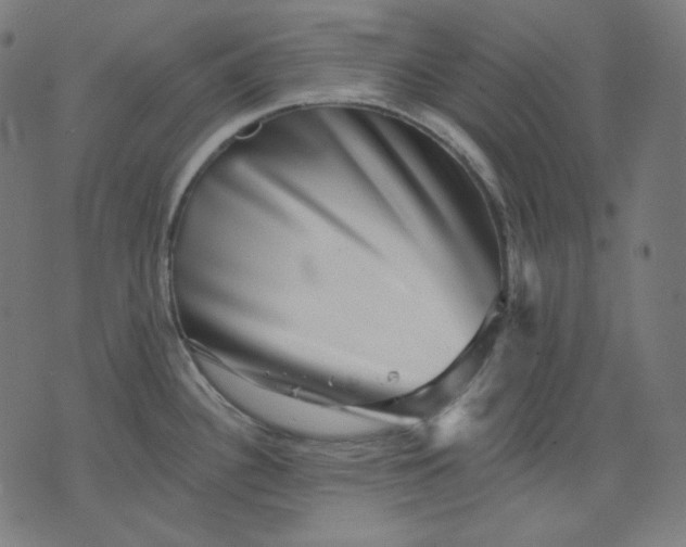 X0000072541340200607281614
