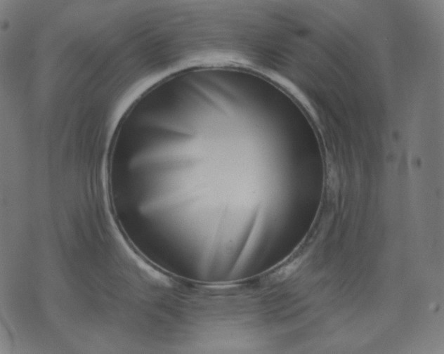 X0000072541343200607281614