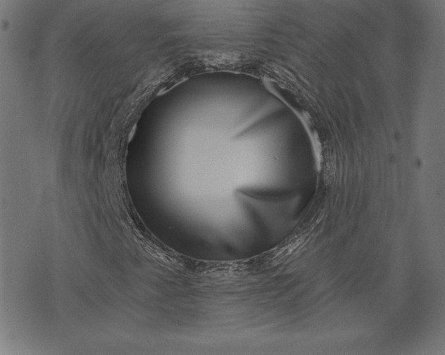 X0000072541345200607281613