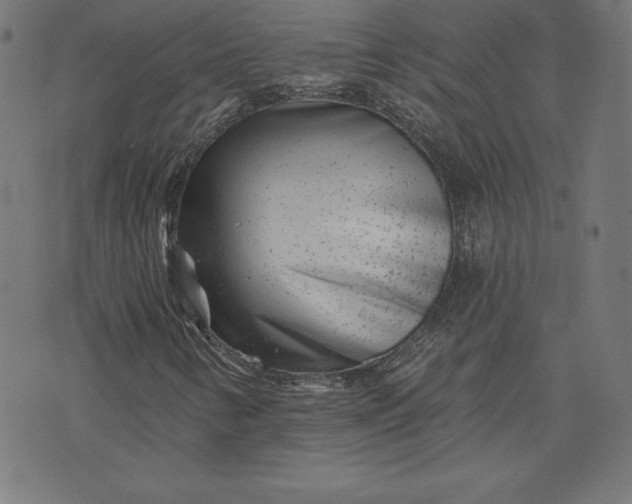 X0000072541346200607281613