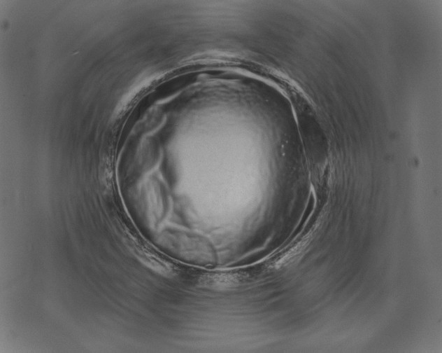 X0000072541355200607281613