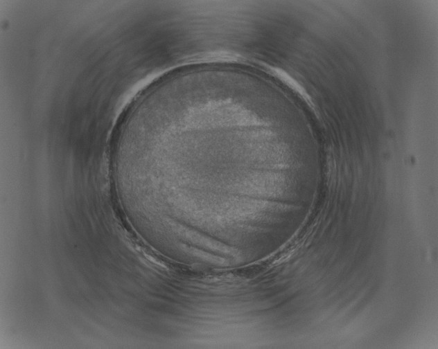 X0000072541364200607281613