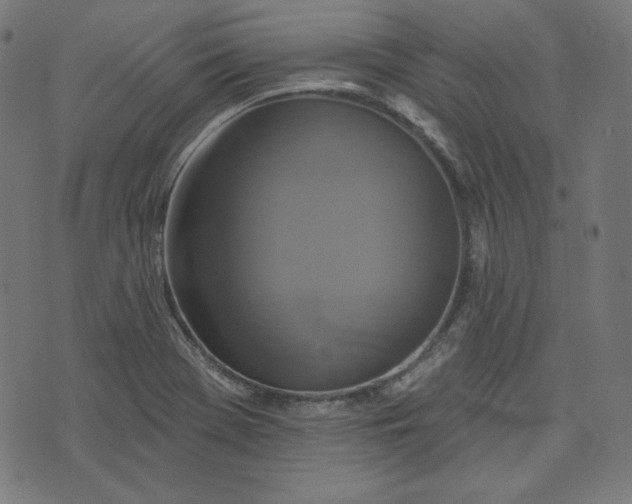 X0000072541369200607281613