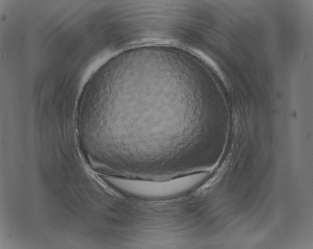 X0000072541373200607281613