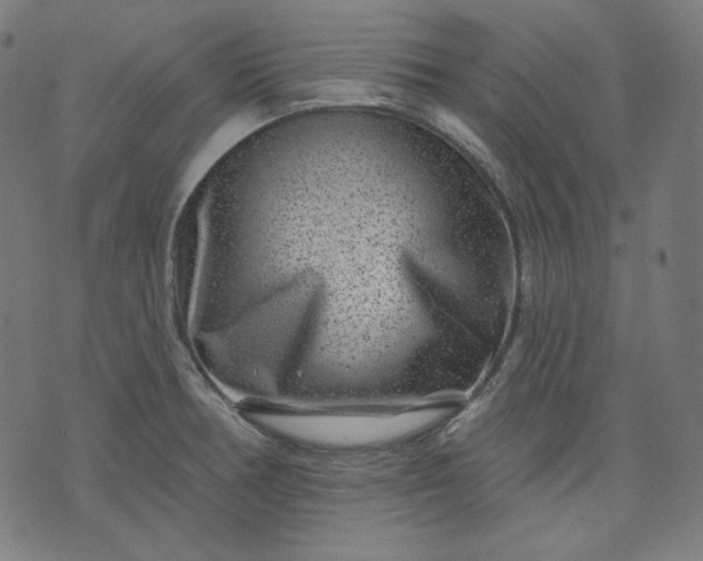 X0000072541378200607281613