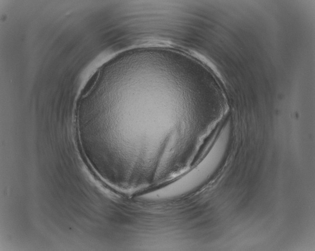 X0000072541379200607281613