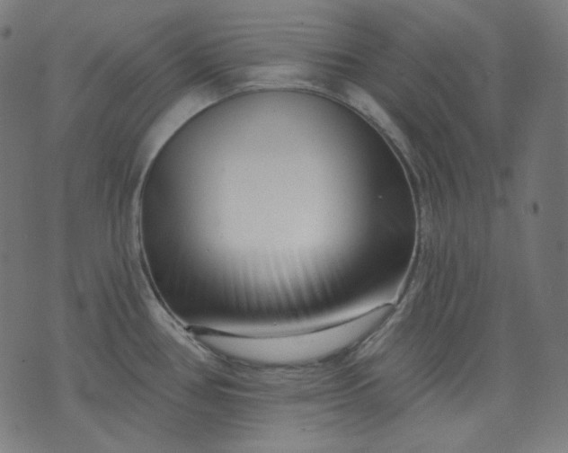 X0000072541386200607281613