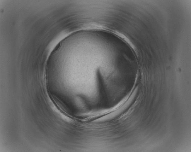 X0000072541387200607281613
