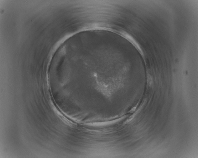 X0000072541388200607281613