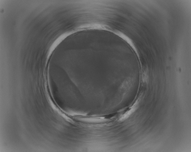 X0000072541389200607281613