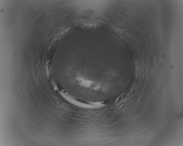 X0000072541394200607281612
