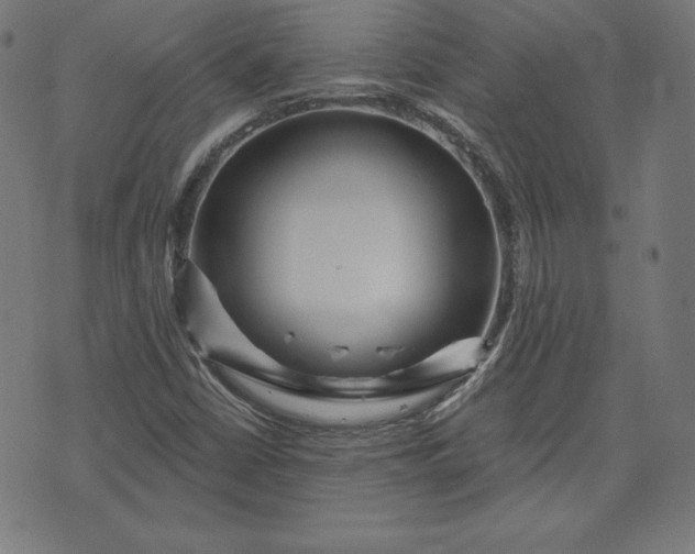 X0000072541402200607281612