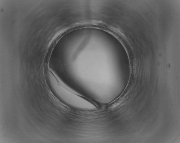 X0000072541404200607281612