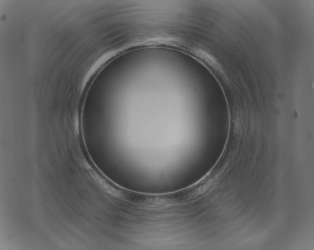 X0000072541420200607281612