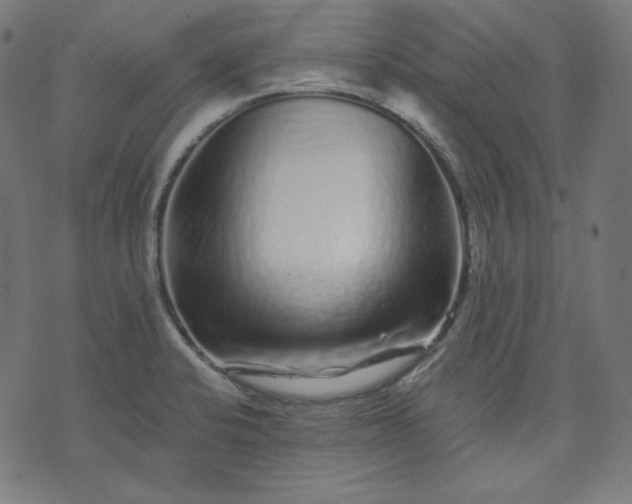 X0000072541424200607281612