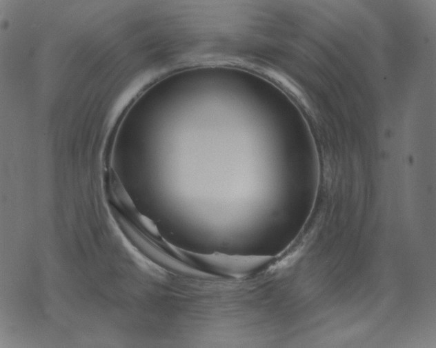 X0000072541430200607281613